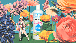 ハイポネックス