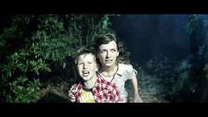 西友「８５トレーラー」